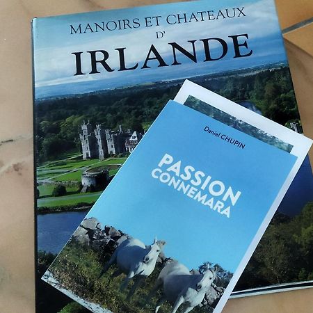 Maison De Campagne Au Coeur D'Un Elevage De Poneys Connemara Le Landreau Экстерьер фото